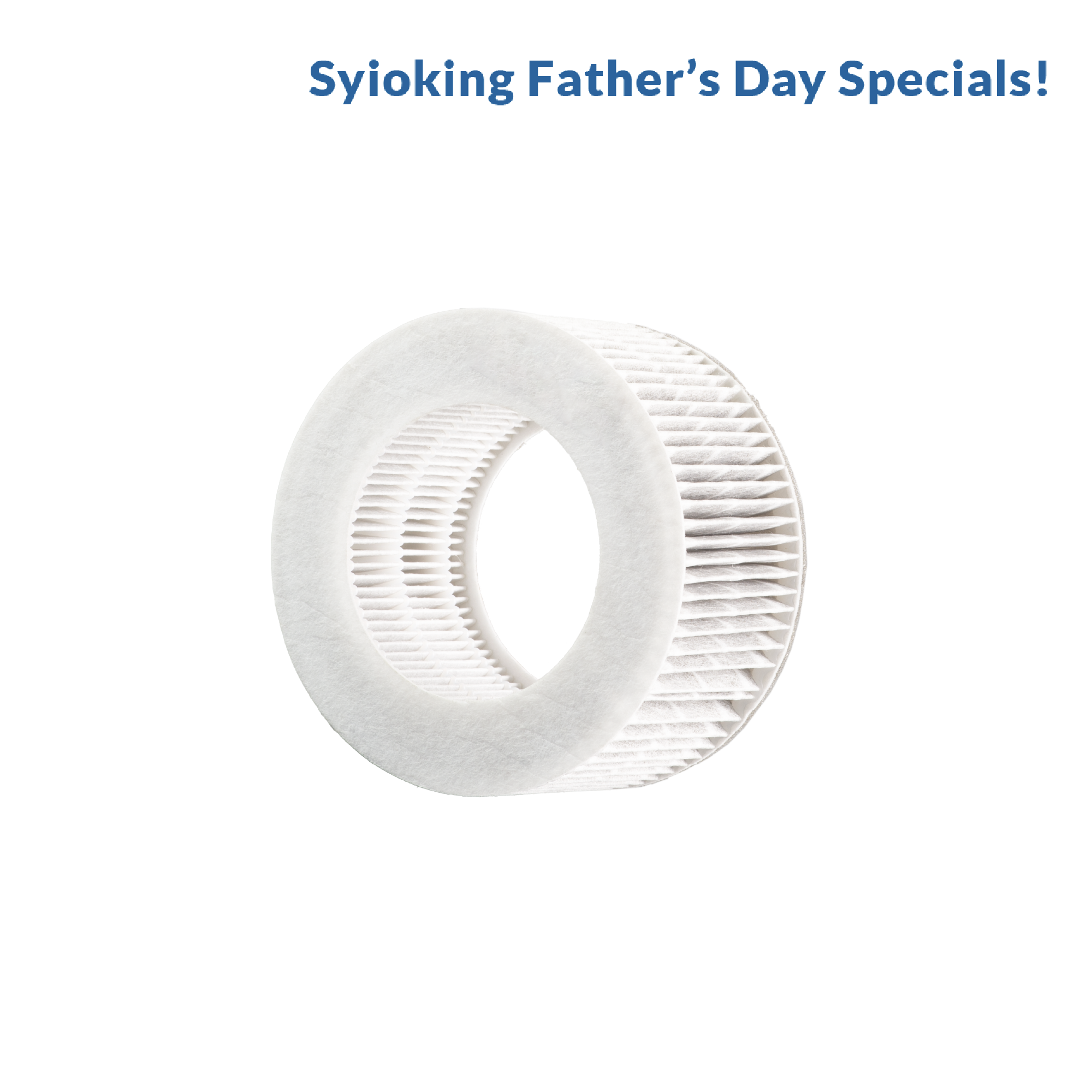 HEPA Filter for Desktop Air Purifier (ADP10A)