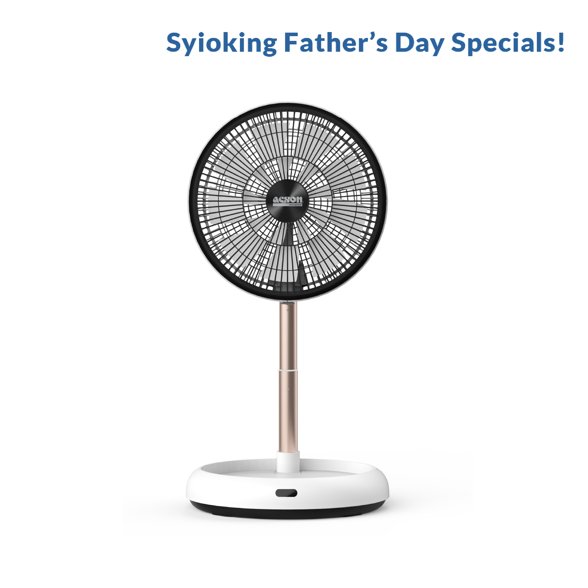 Foldable Floor Fan